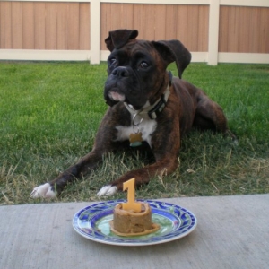 Minka's first birthday