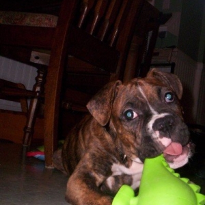Bruce5