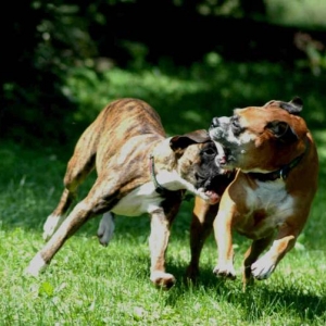 Playing Tag