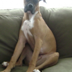 You sit like this, why can't I?