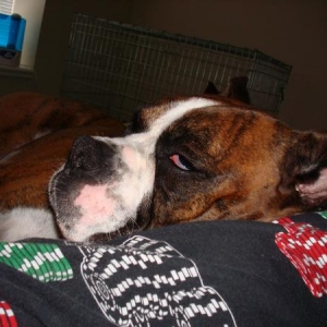 Luke asleep on Derek's leg