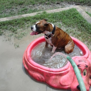Luke sitting in the swimming pool