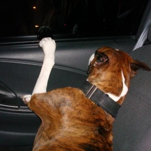 Luke in the car