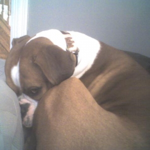 LOU SNUGGLING