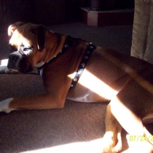 sunbather