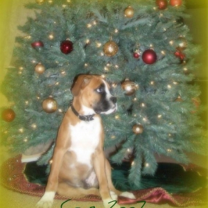 First Christmas