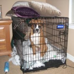 Payback