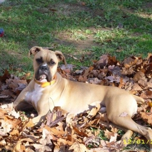 My handsome boy