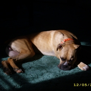One lazy day