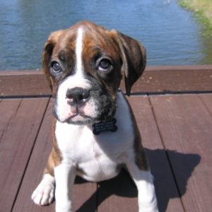 14 WEEKS