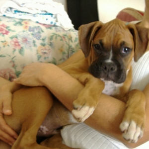 Tank 12 weeks old.