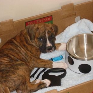 His security box
