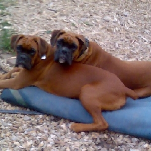 Nero & Cooper