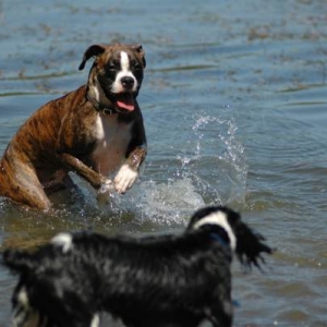 Fred splashing