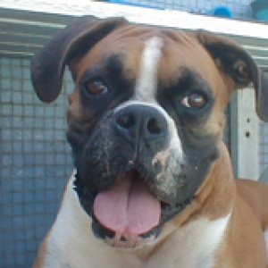 Ianca smiling.