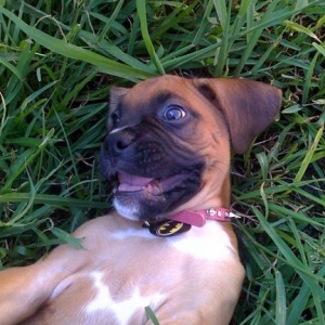 Shelby smiling
