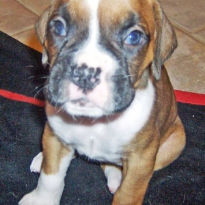 Arya at 4 Weeks
