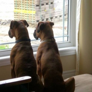 Abraham and Lincoln doing the neighbourhood watch