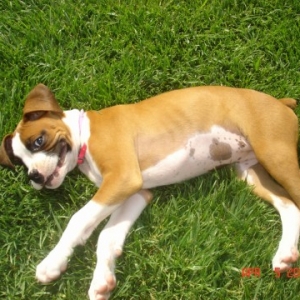 Our smiling Dally....