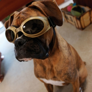 Cool Guapo