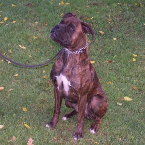 Maya at 20 months