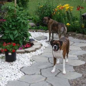 buster_and_lady