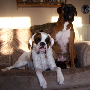 Ruby_and_Luka_Sept_08_003-640x480