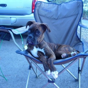 Camping
