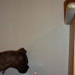 Can't seem to catch that red dot!