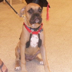 Graduation