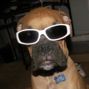 cool Tanner
