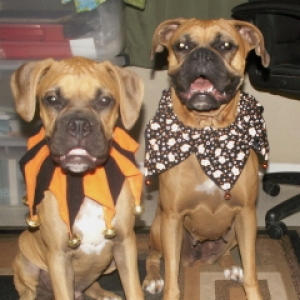 Halloween costumes
