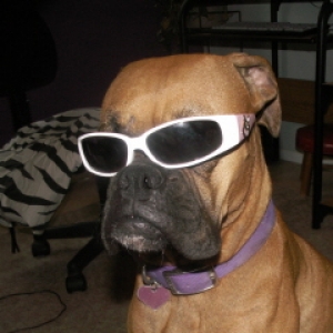 Jada cool