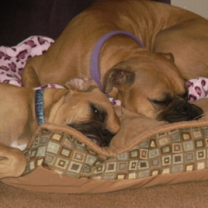 Sharing