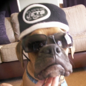 Go Jets