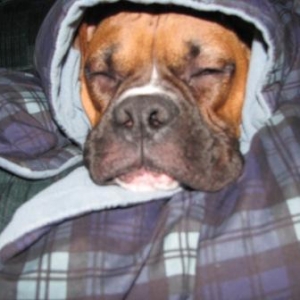 a cold winter day