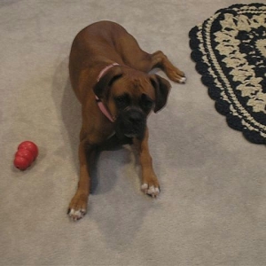 Ali and her kong