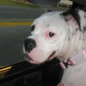 Maddie on her car ride home to meet her new family.