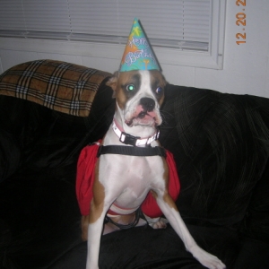 Happy 1st Birthday. (with her holter on)