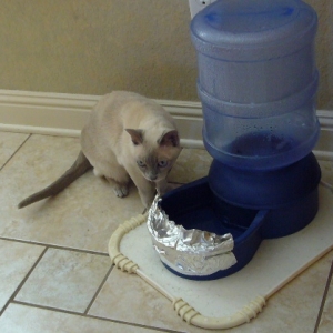 JuJuBee likes Clare's water better