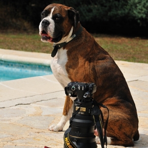 Henri and Nikon...