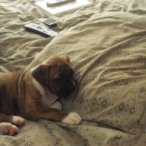 Picture_111