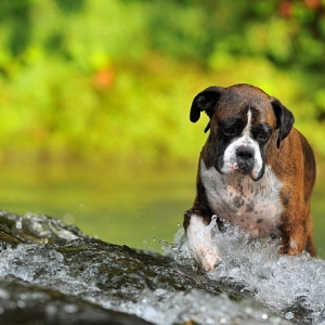 Just paddling