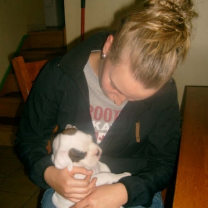 Little White Boxer