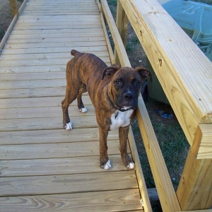 Axle_6_months_008