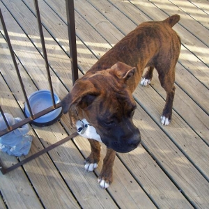 Axle_6_months_007