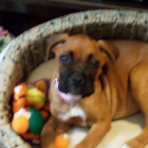 Rachel in her new bed