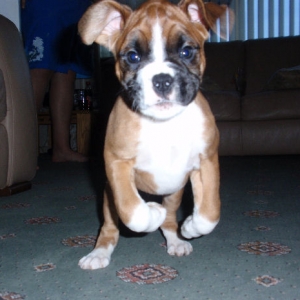 Drusilla yates from Wigan