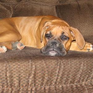 Tater 6 months