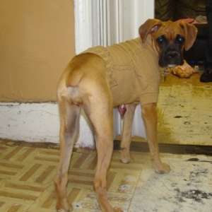 Sweater Time